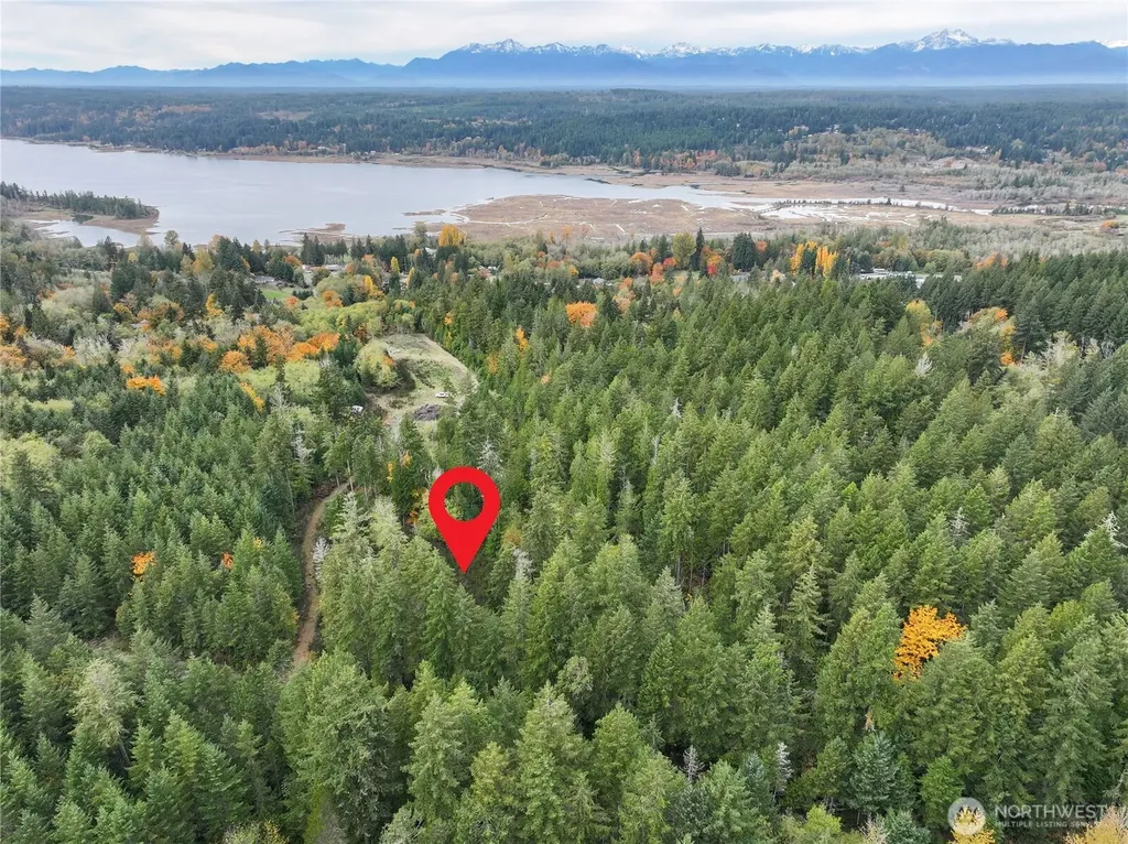 541 NE Squire Lane Belfair WA 98528