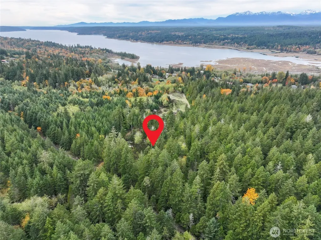 541 NE Squire Lane Belfair WA 98528