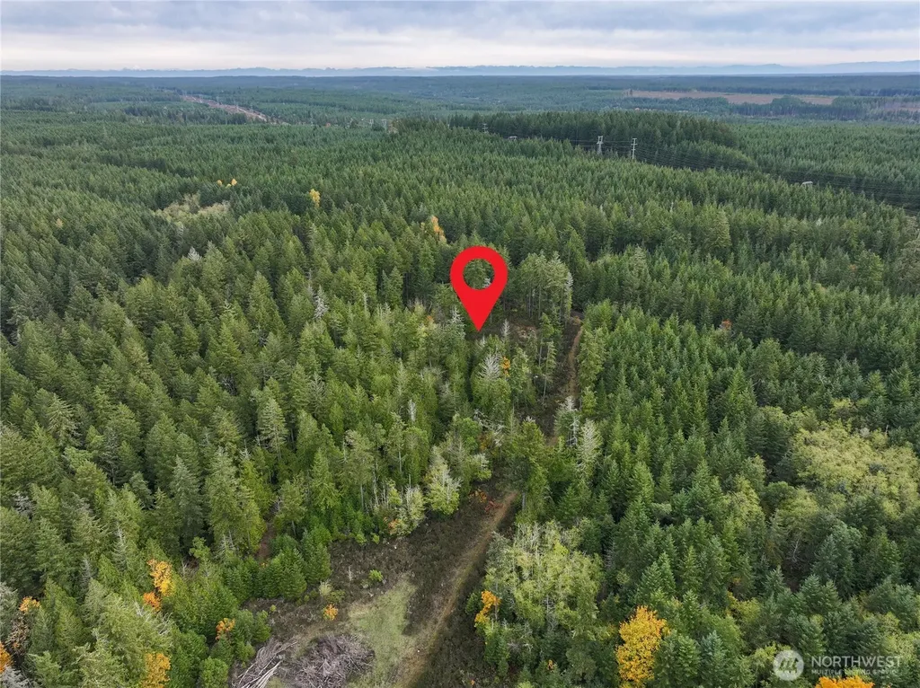 541 NE Squire Lane Belfair WA 98528