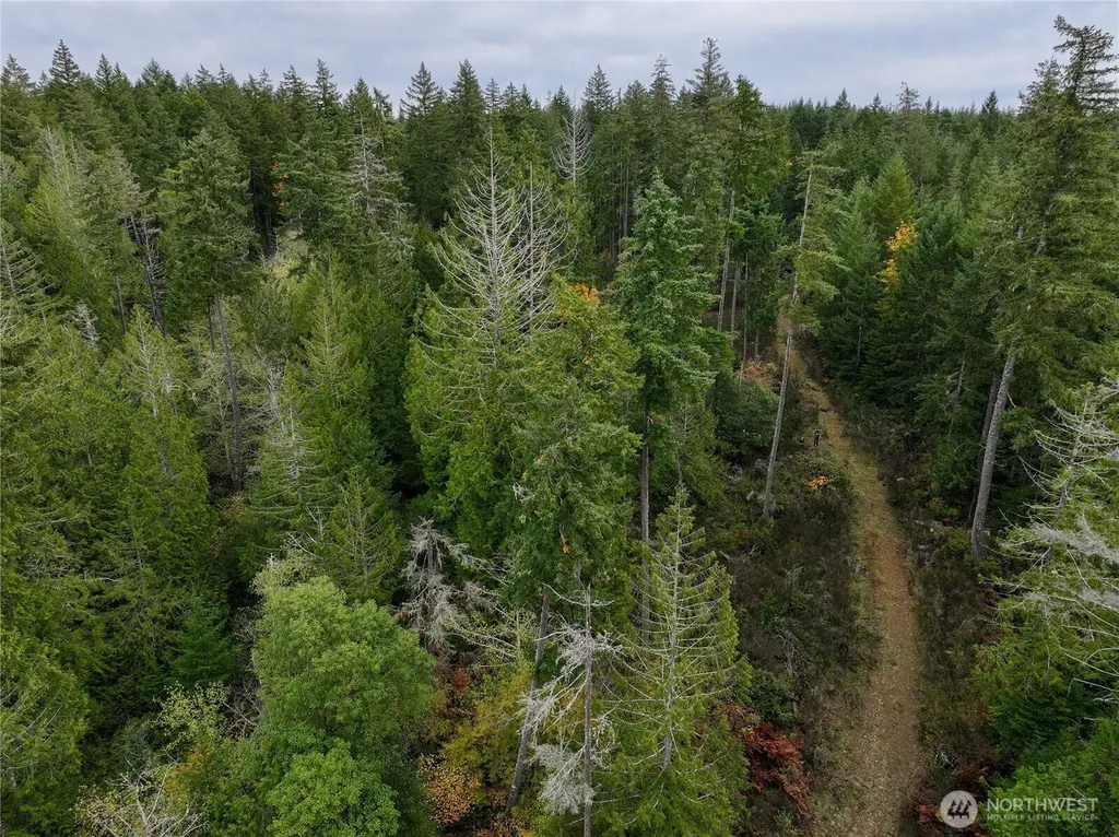 541 NE Squire Lane Belfair WA 98528