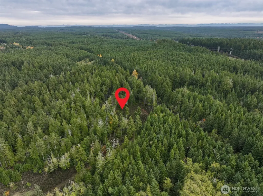 541 NE Squire Lane Belfair WA 98528