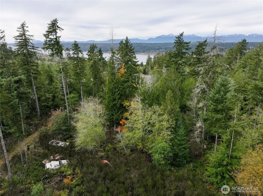 541 NE Squire Lane Belfair WA 98528