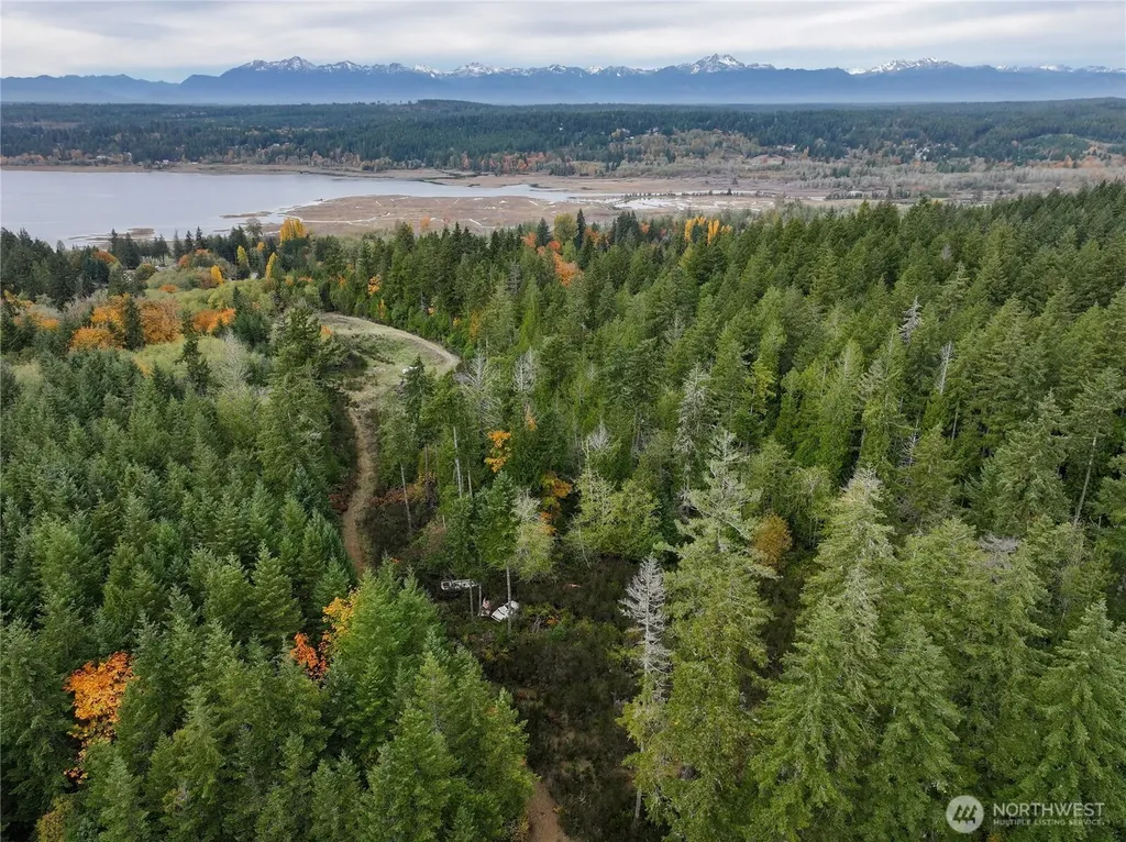 541 NE Squire Lane Belfair WA 98528