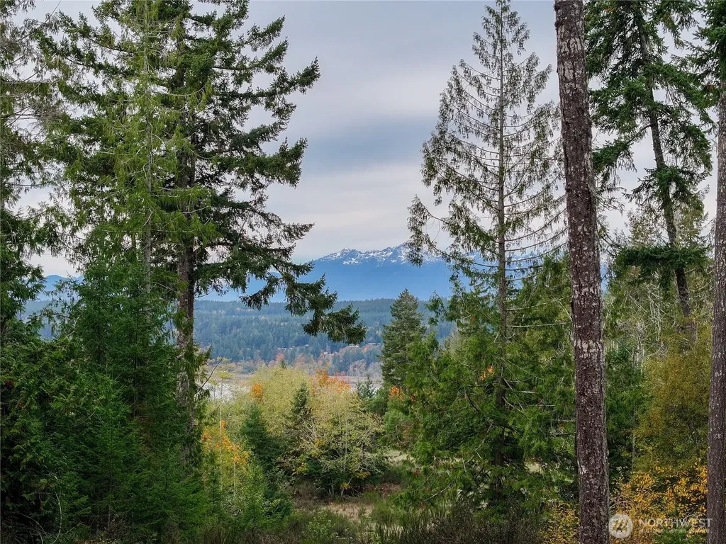 541 NE Squire Lane Belfair WA 98528