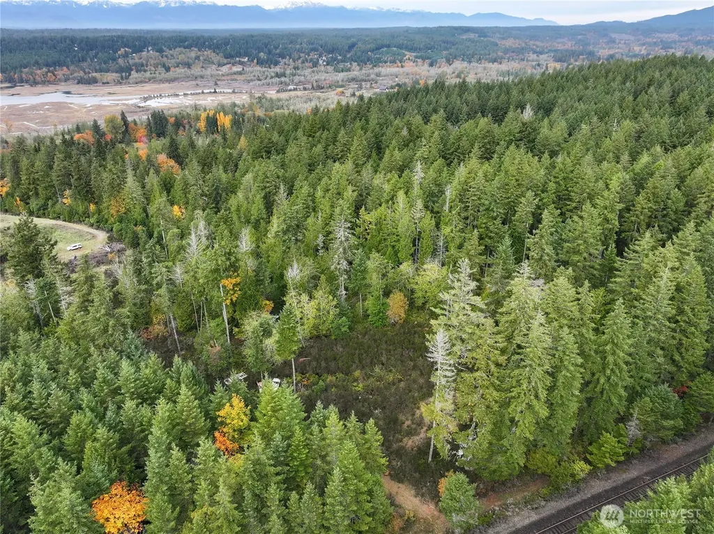 541 NE Squire Lane Belfair WA 98528