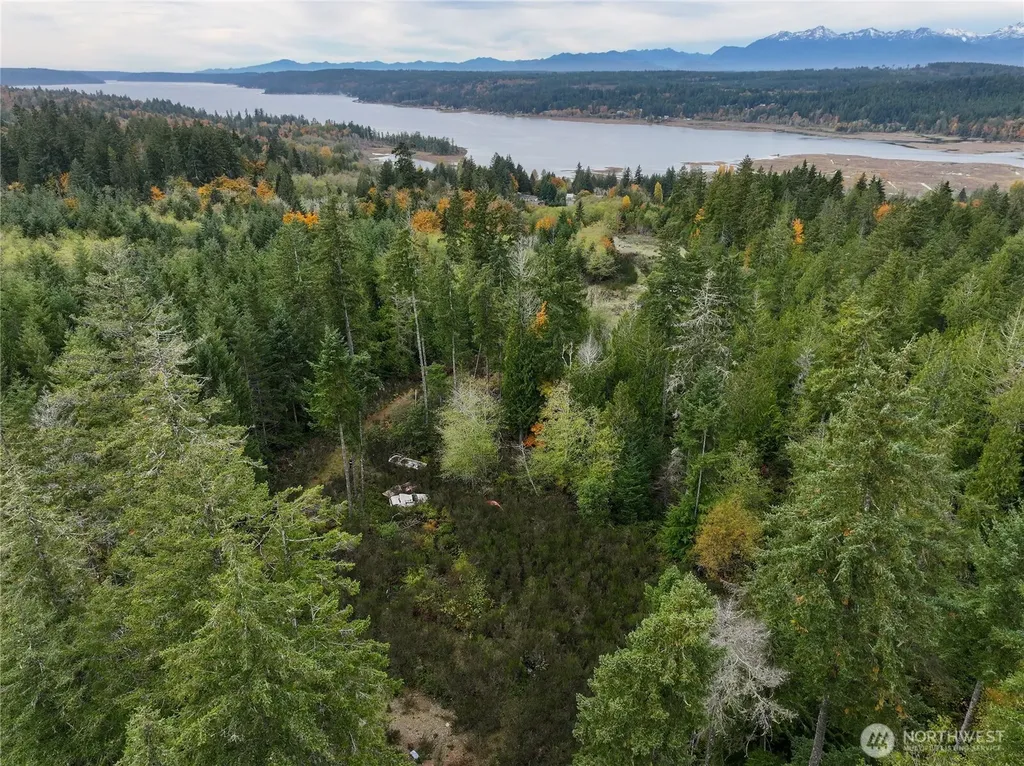 541 NE Squire Lane Belfair WA 98528