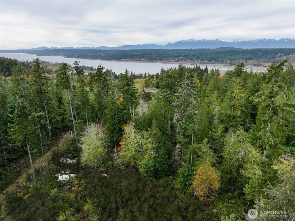 541 NE Squire Lane Belfair WA 98528