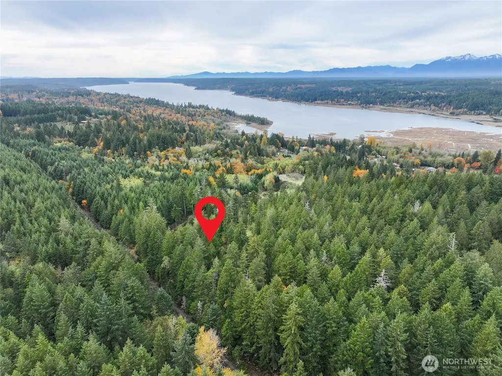 541 NE Squire Lane Belfair WA 98528