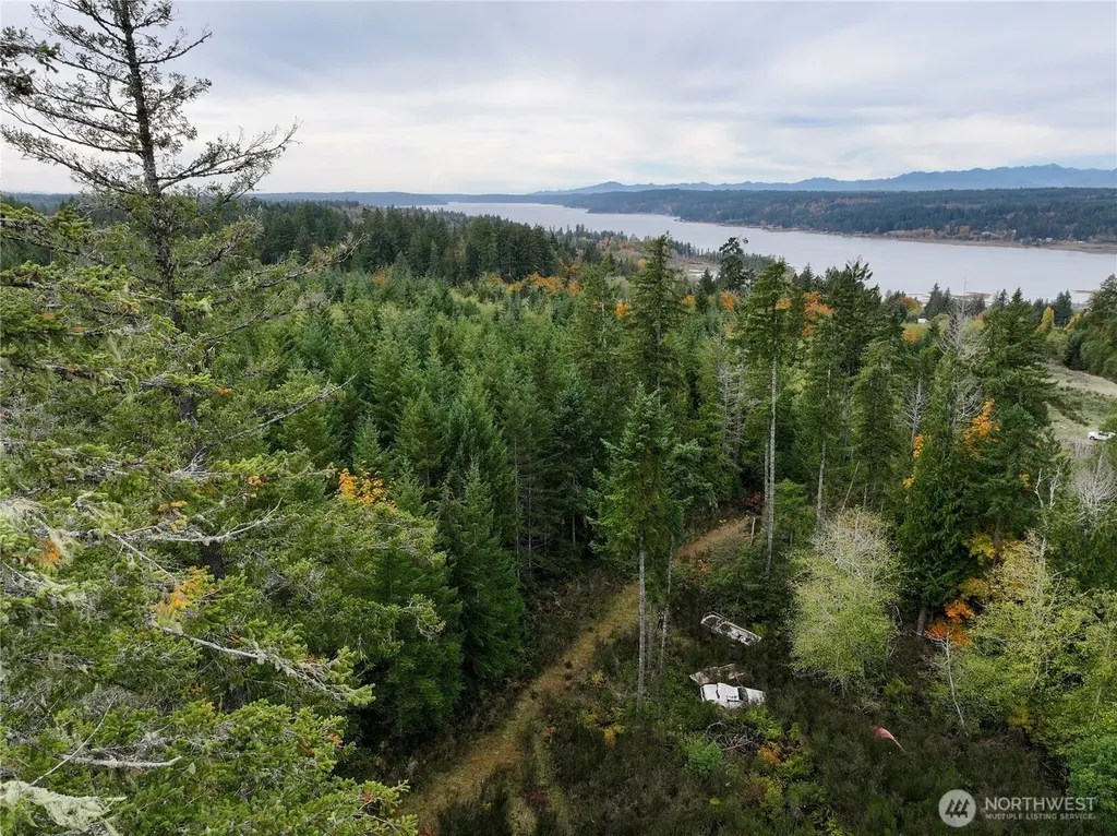 541 NE Squire Lane Belfair WA 98528