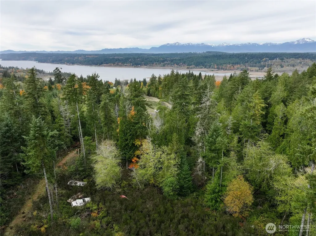 541 NE Squire Lane Belfair WA 98528