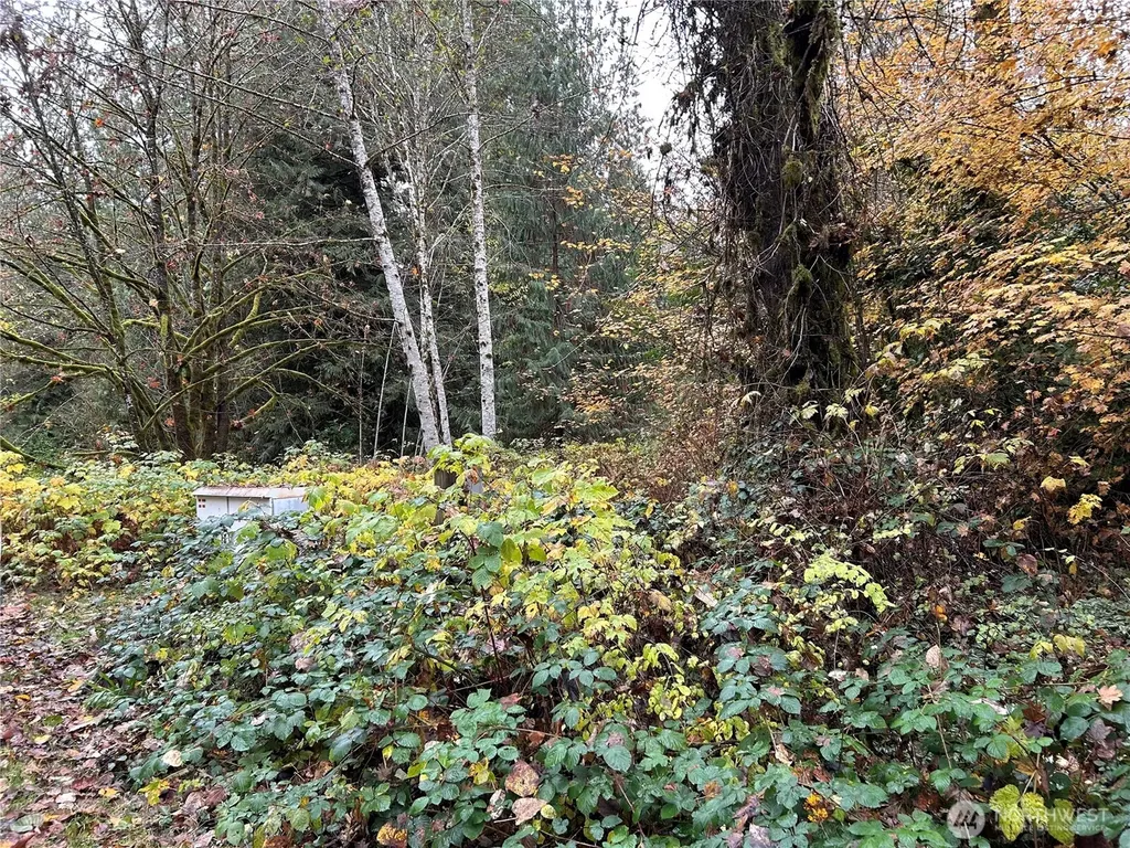 54165 Steelhead Landing Road Concrete WA 98237