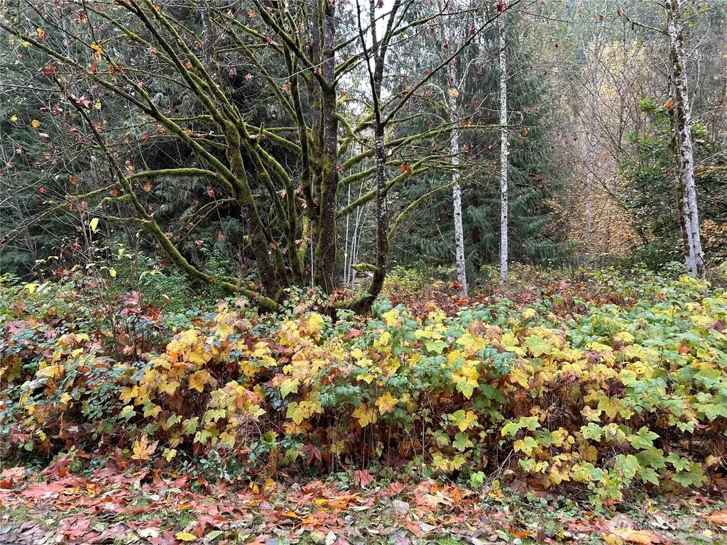 54165 Steelhead Landing Road Concrete WA 98237
