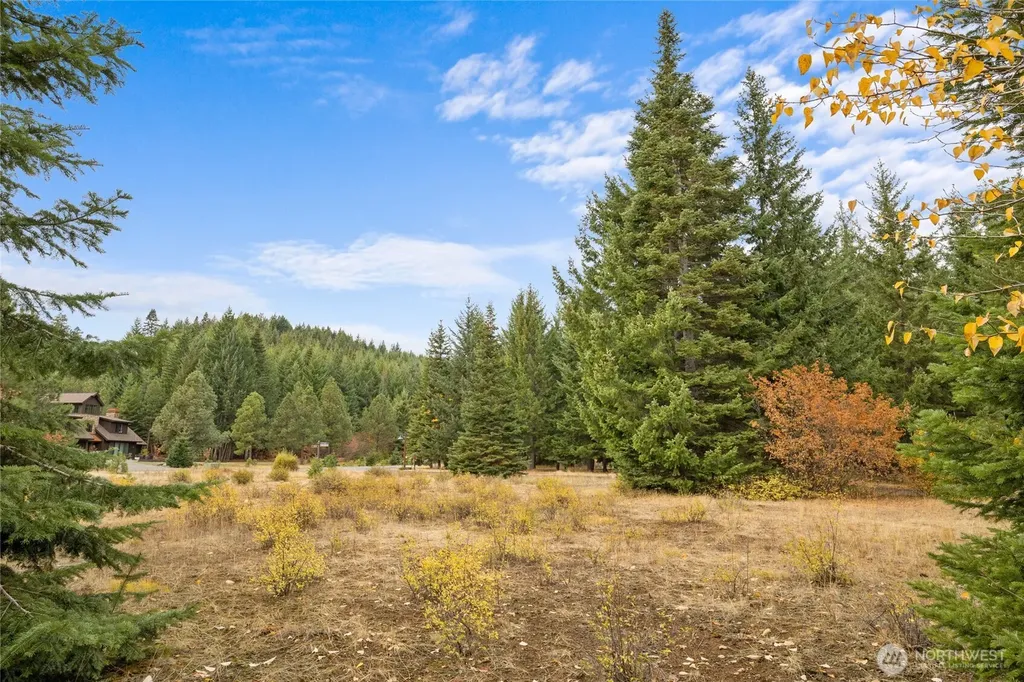50 Morning Star Lane Cle Elum WA 98922
