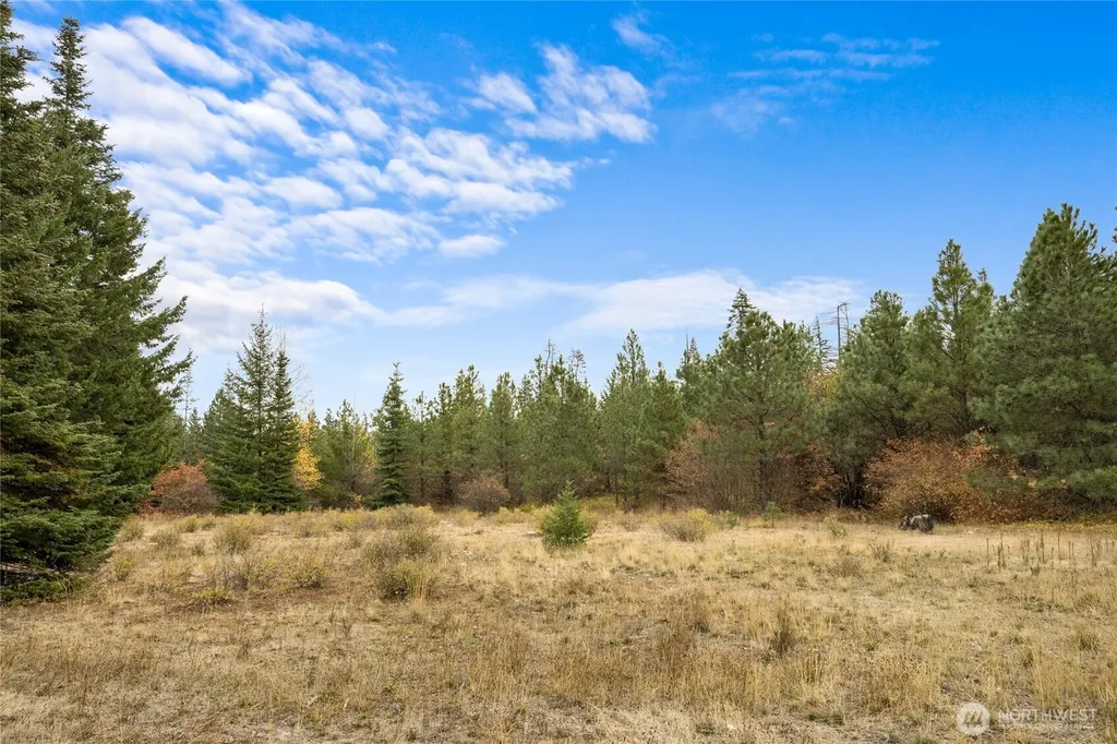 50 Morning Star Lane Cle Elum WA 98922