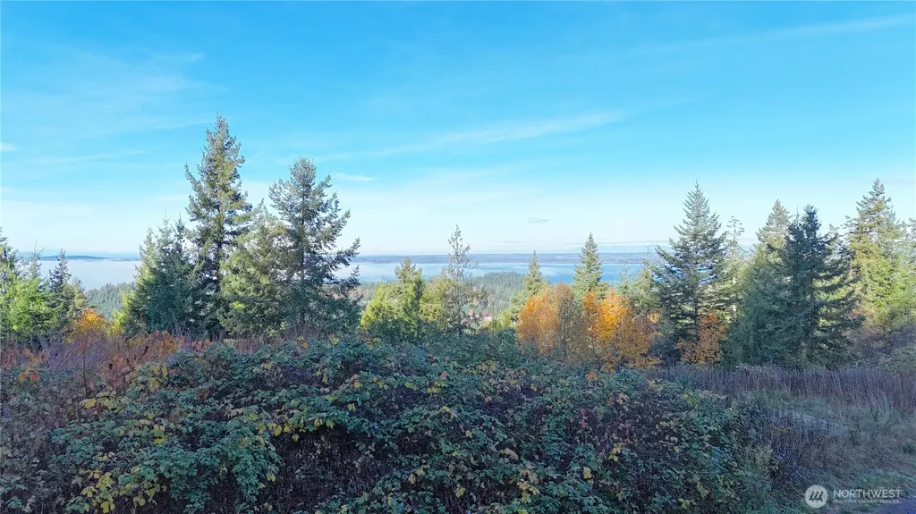 2404 Sonora Lane Bellingham WA 98229