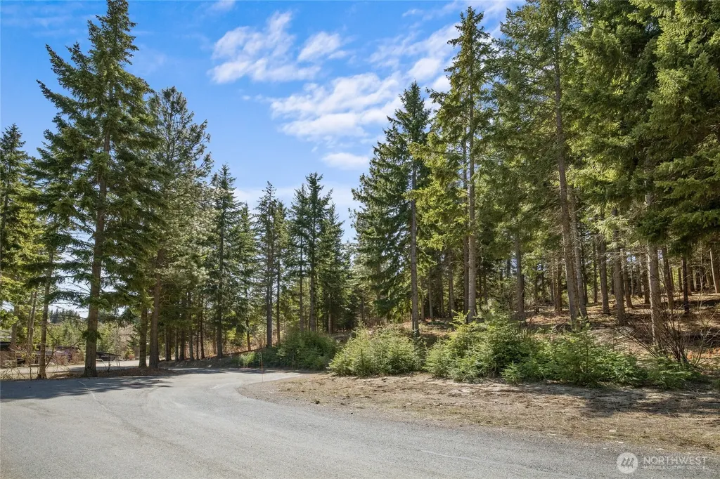 220 Tired Creek Lane Cle Elum WA 98922