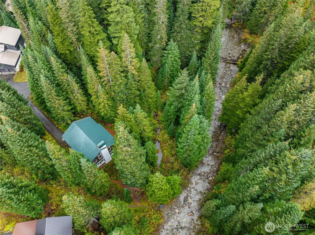 22 Alpental Street Snoqualmie Pass WA 98068