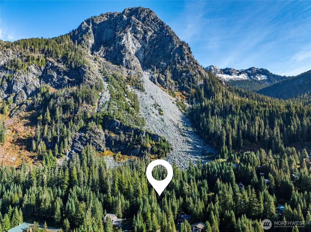 22 Alpental Street Snoqualmie Pass WA 98068