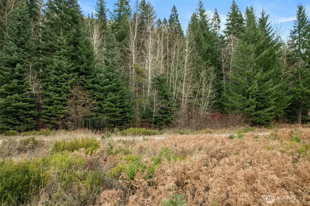 0 0 Leavenworth WA 98826