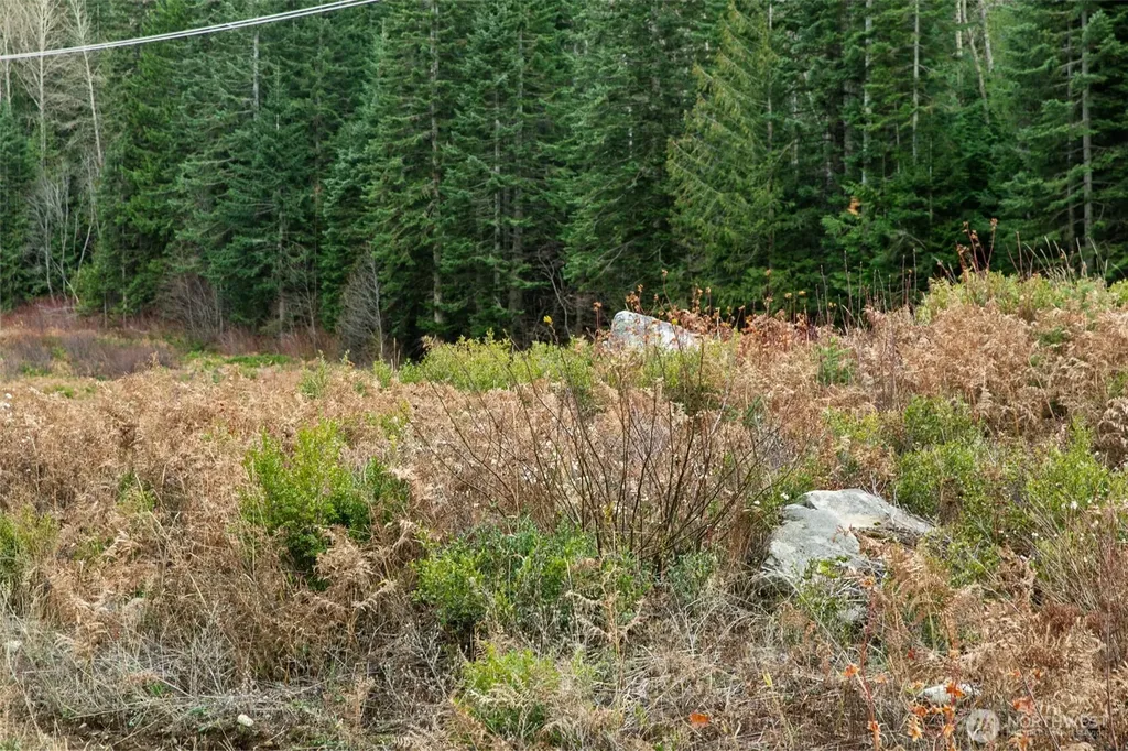 0 0 Leavenworth WA 98826