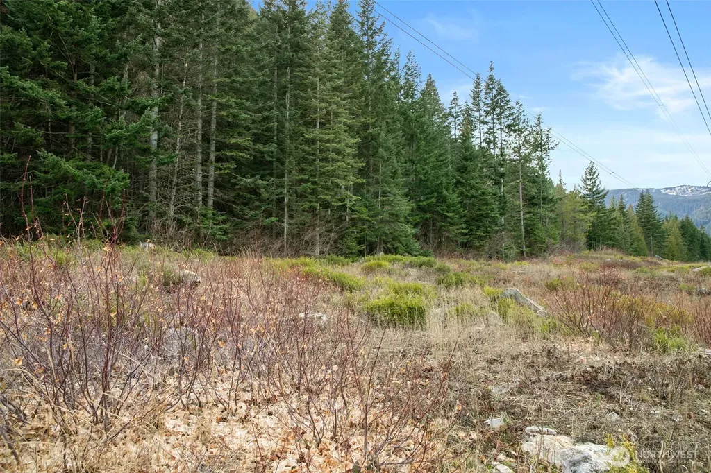 0 0 Leavenworth WA 98826