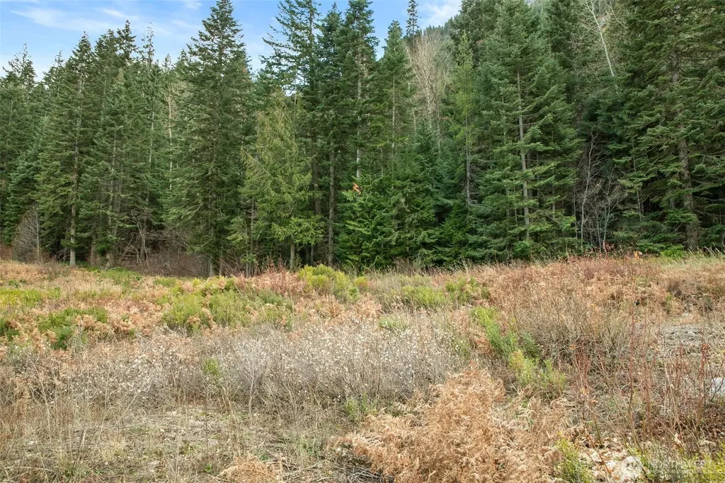 0 0 Leavenworth WA 98826