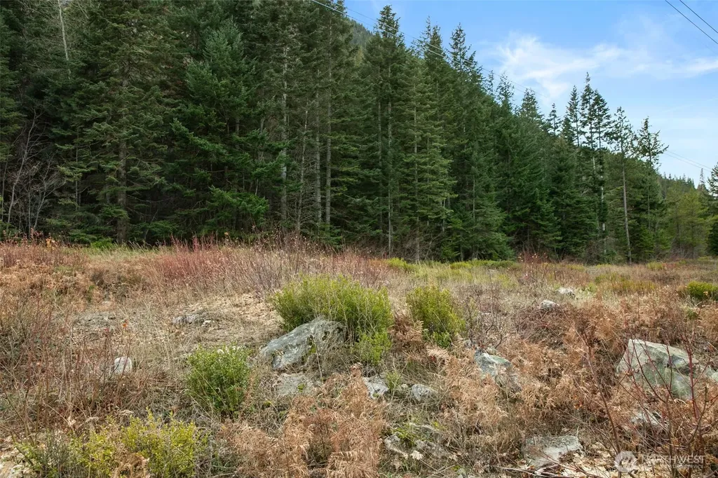 0 0 Leavenworth WA 98826