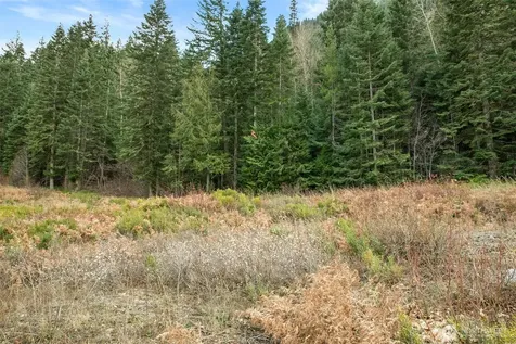 0 0 Leavenworth WA 98826