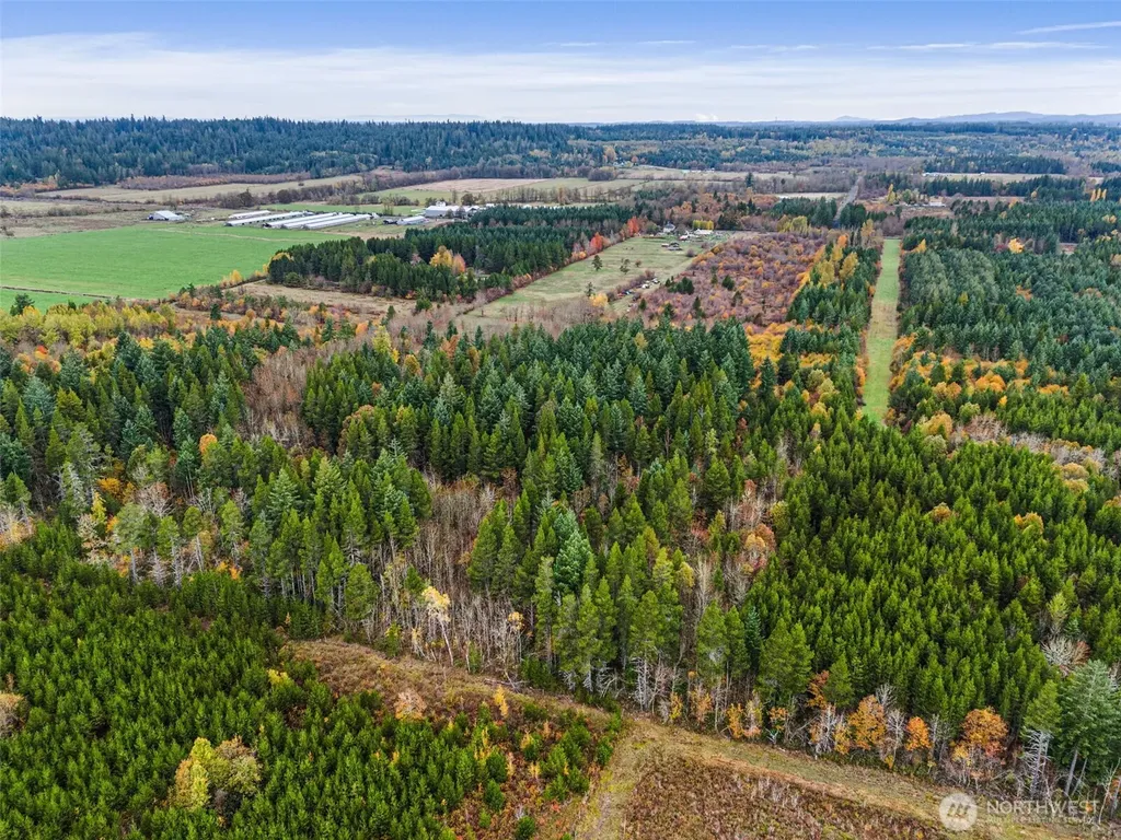 0 Oyler Road Toledo WA 98591