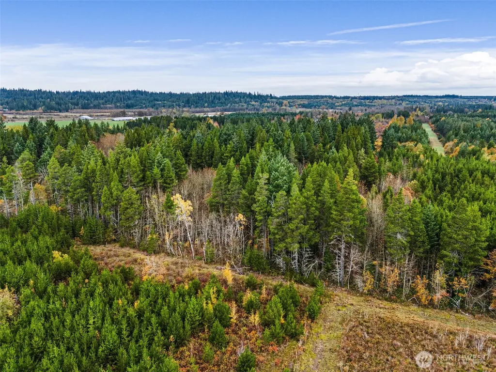 0 Oyler Road Toledo WA 98591