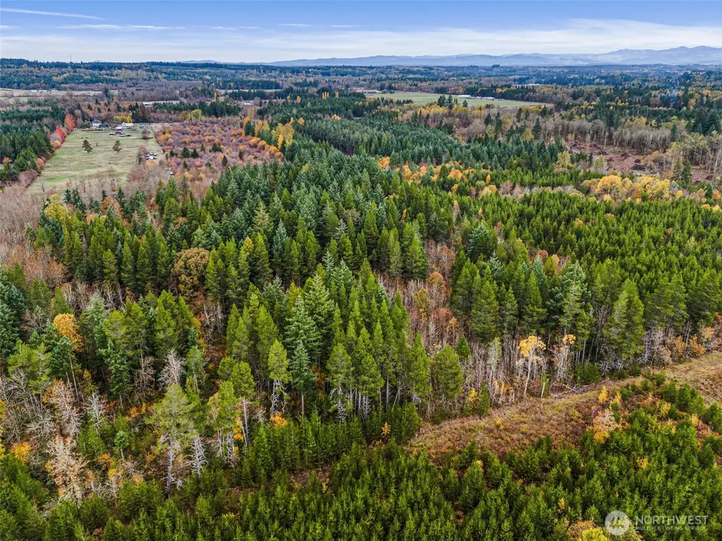 0 Oyler Road Toledo WA 98591