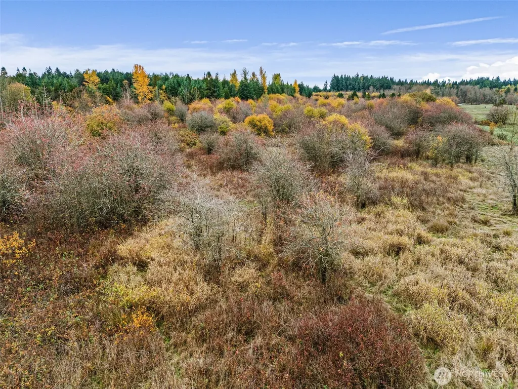 0 Oyler Road Toledo WA 98591