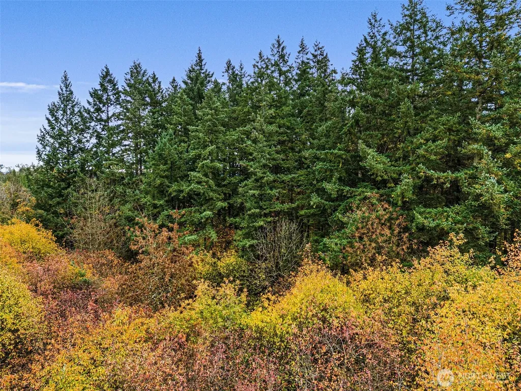 0 Oyler Road Toledo WA 98591