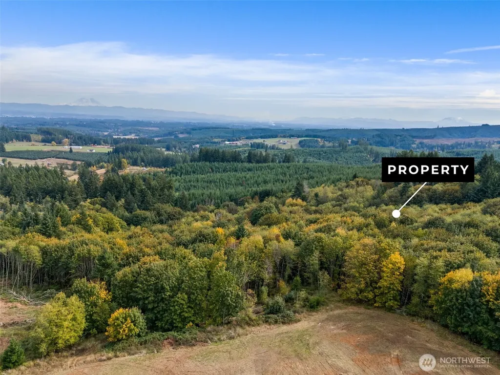 251 Crego Hill Road Chehalis WA 98532