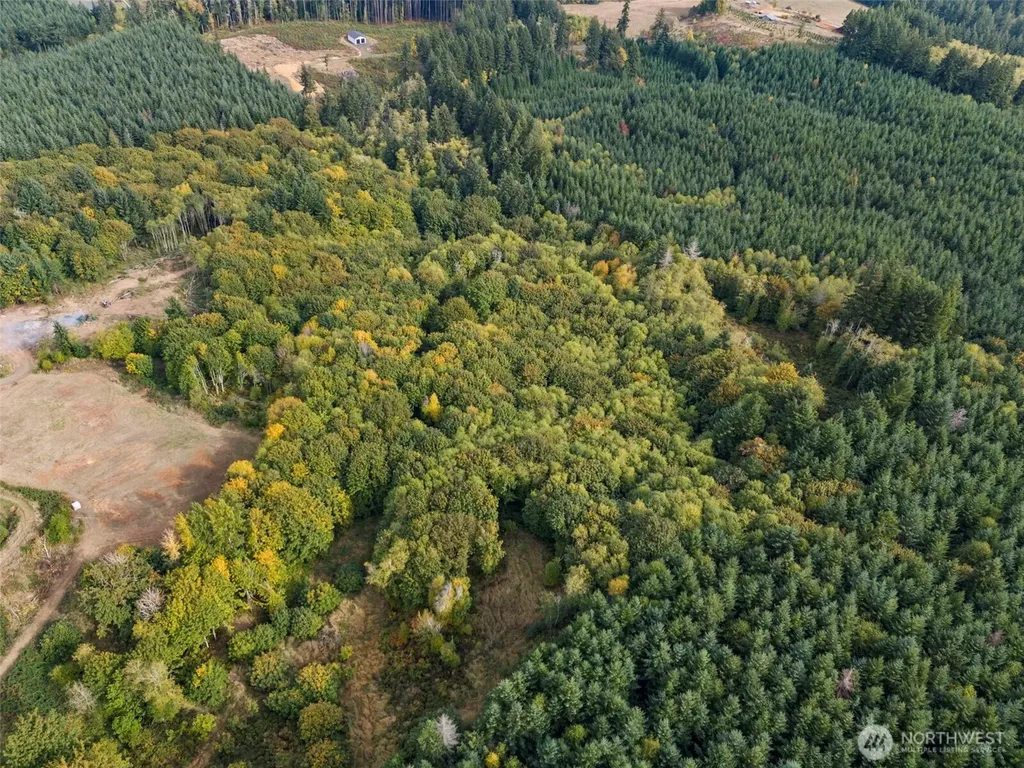 251 Crego Hill Road Chehalis WA 98532