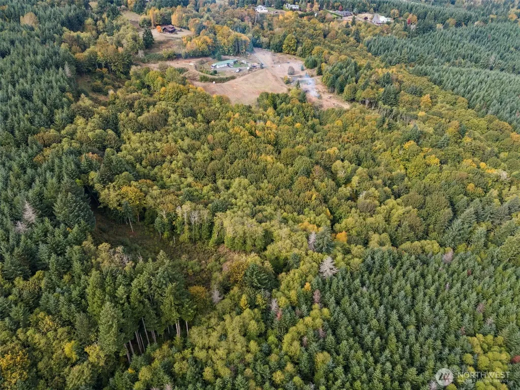 251 Crego Hill Road Chehalis WA 98532