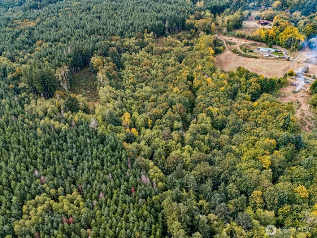 251 Crego Hill Road Chehalis WA 98532