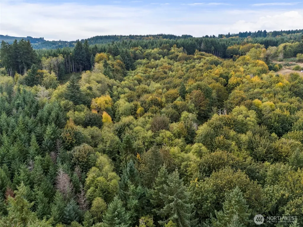 251 Crego Hill Road Chehalis WA 98532