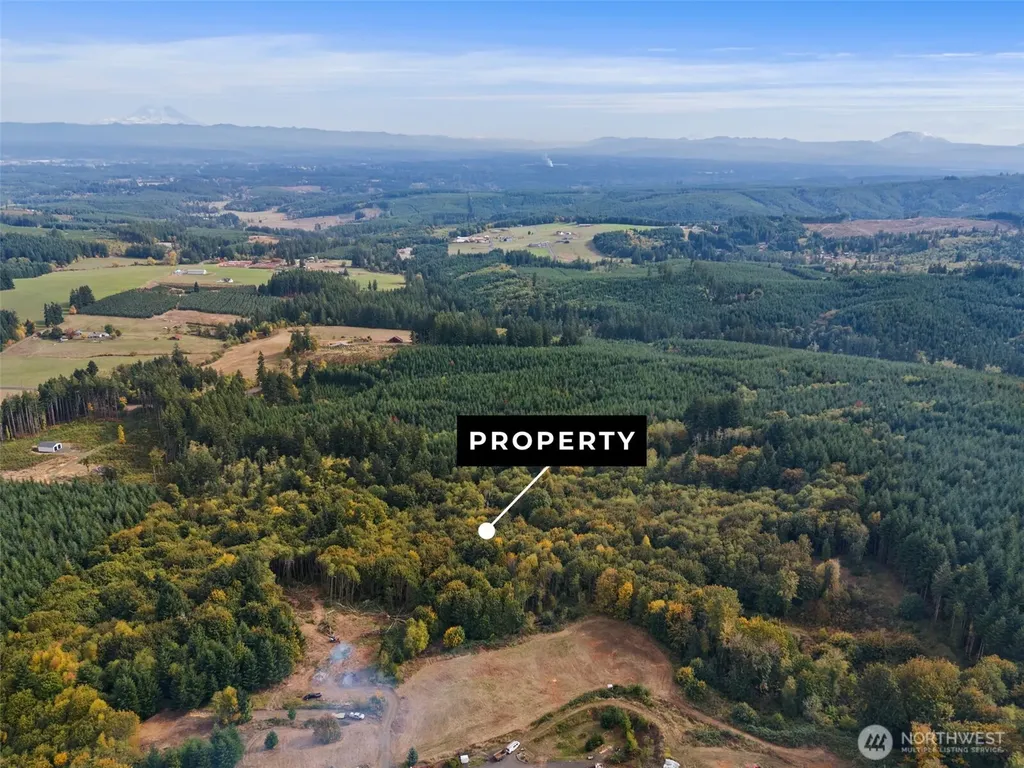 251 Crego Hill Road Chehalis WA 98522