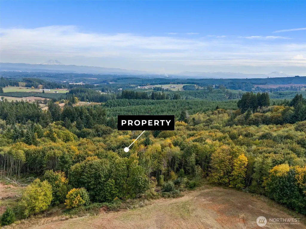 251 Crego Hill Road Chehalis WA 98522