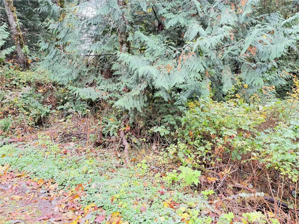 1 W Alder Drive Sedro Woolley WA 98284