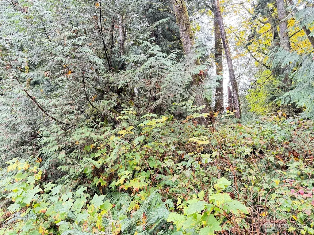 1 W Alder Drive Sedro Woolley WA 98284