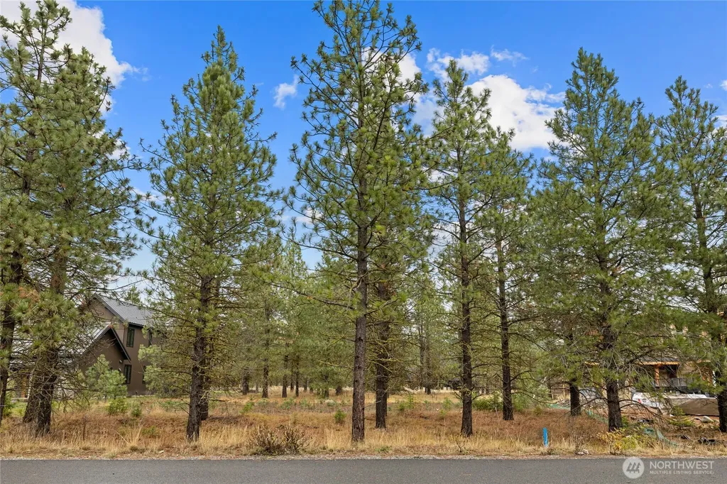 351 Southern Star Lane Cle Elum WA 98922