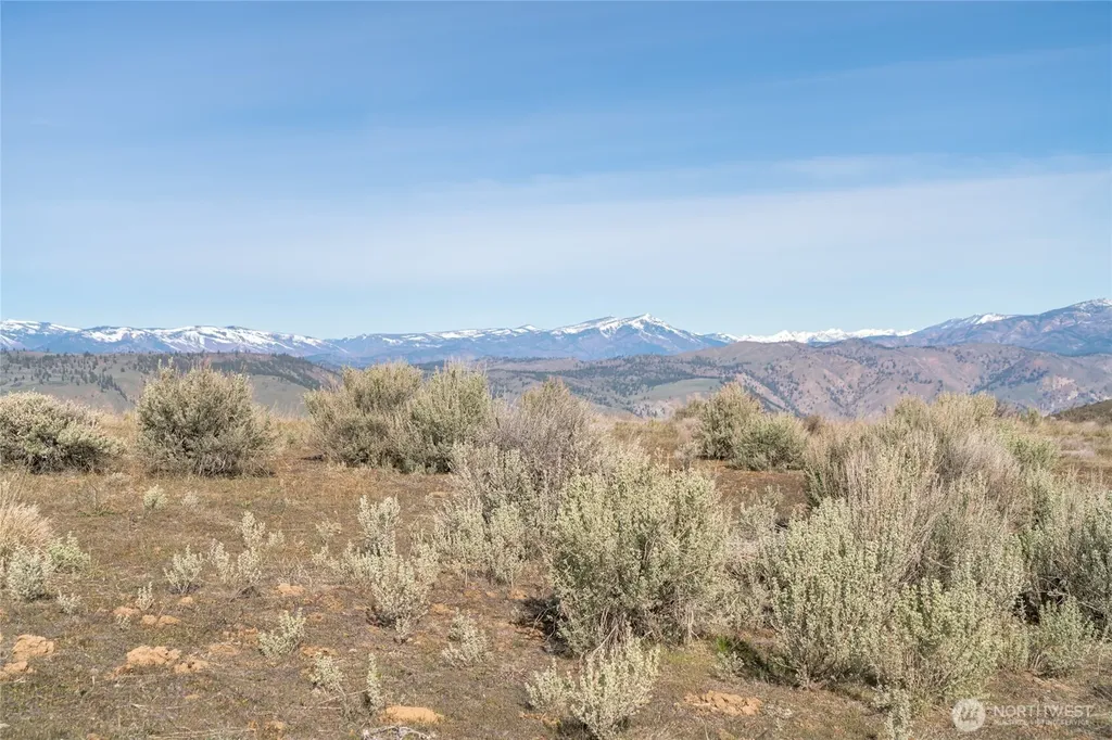 13 Road S NW Waterville WA 98858