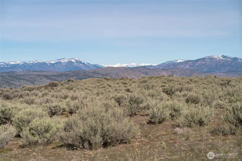 13 Road S NW Waterville WA 98858