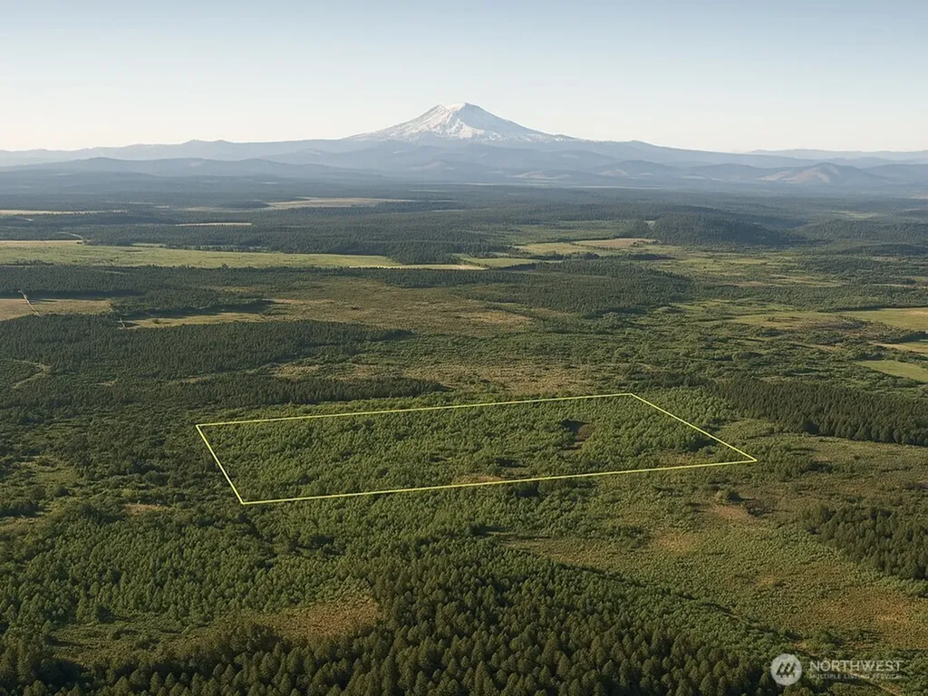 981 W Homer Adams Road Elma WA 98541