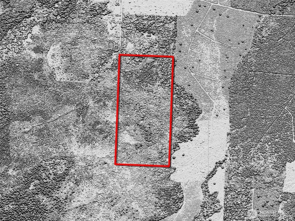 981 W Homer Adams Road Elma WA 98541