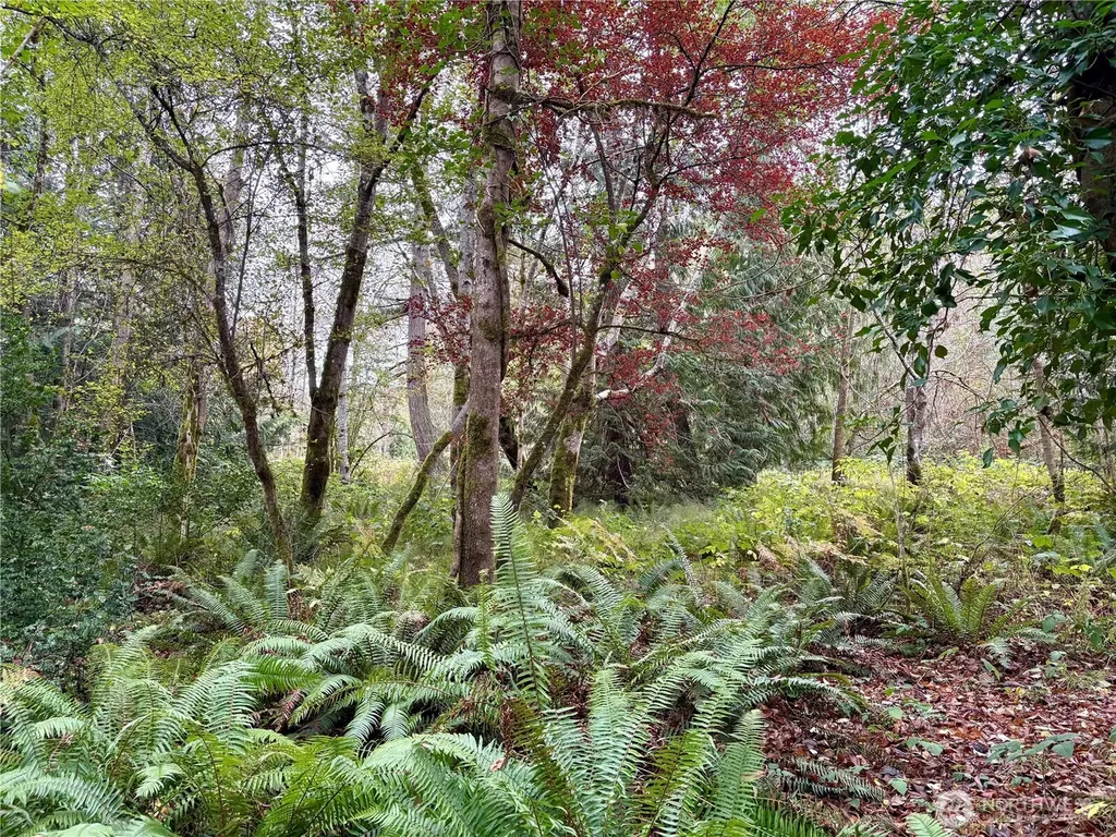 0 Hyak Place Fox Island WA 98333