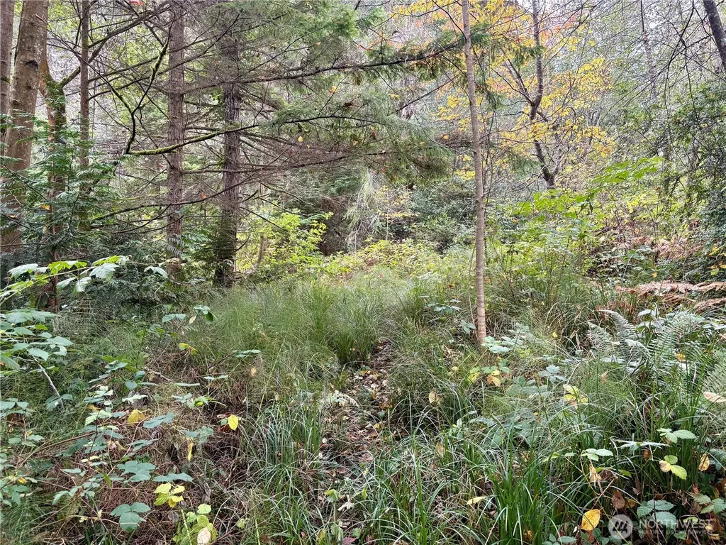 0 Hyak Place Fox Island WA 98333