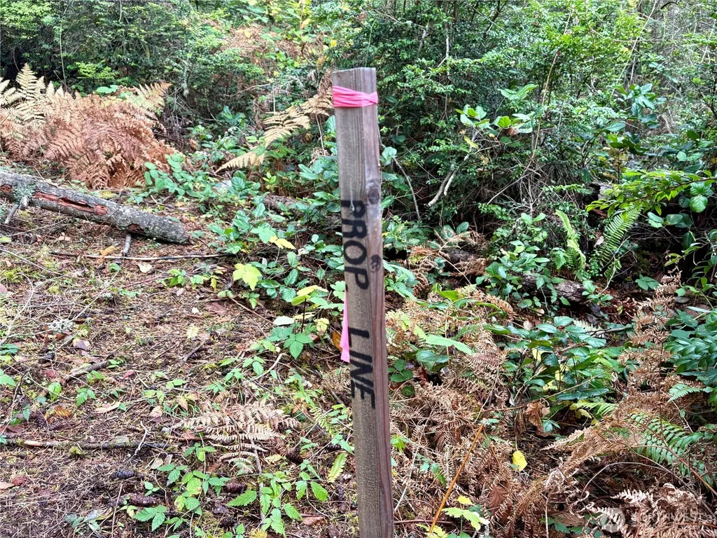 0 Hyak Place Fox Island WA 98333